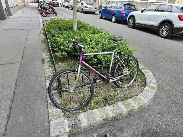 Nach Beschluss des Stadtsenats werden jene Fahrräder, die im nicht im Fundamt abgeholt werden, unentgeltlich dem Verein Wams als Sachspende überlassen. | Foto: Z.V.g. MeinBezirk Archiv