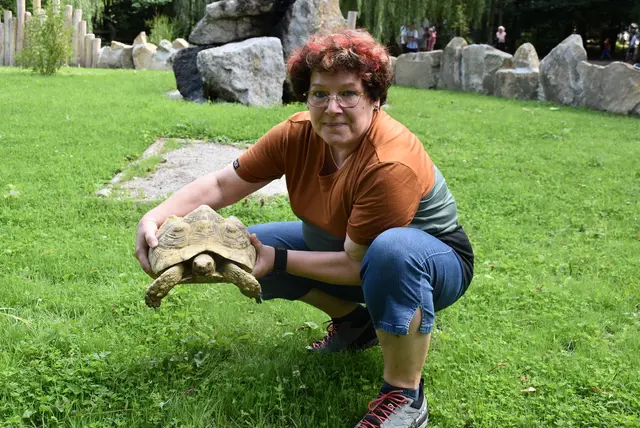 Nun kann die Namensgeberin Sabine Mayer-Kerz ihr Patentier noch hochheben und präsentieren. Dieses Tier kann ein Gewicht von 30 bis 50 Kg erreichen.

 | Foto: Herbert Stoschek