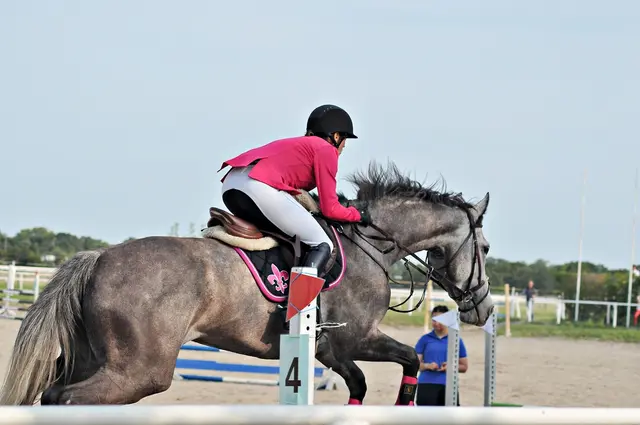 Foto: mamaraZZa photo