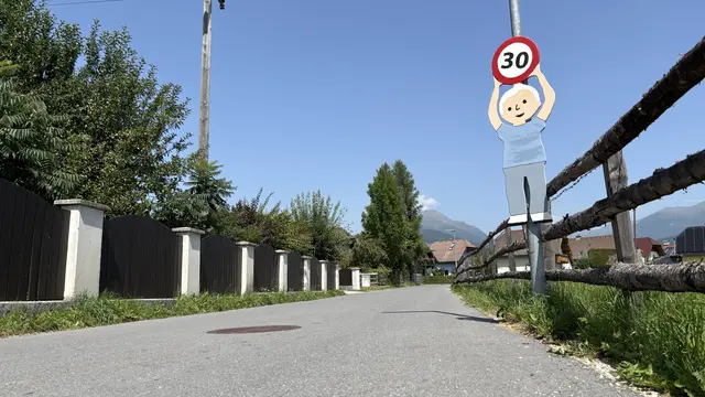 Sie sollen die Verkehrssicherheit auf Tamswegs Straßen erhöhen und Kraftfahrzeugfahrerinnen und -fahrer etwa an die Einhaltung der "30er"-Zone erinnern: 25 kreative Holzfiguren. | Foto: pjw