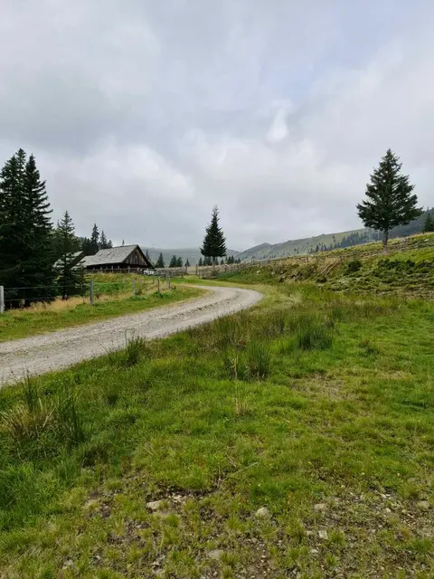 Der Weg hinauf zur Hütte | Foto: Ingrid Theussl