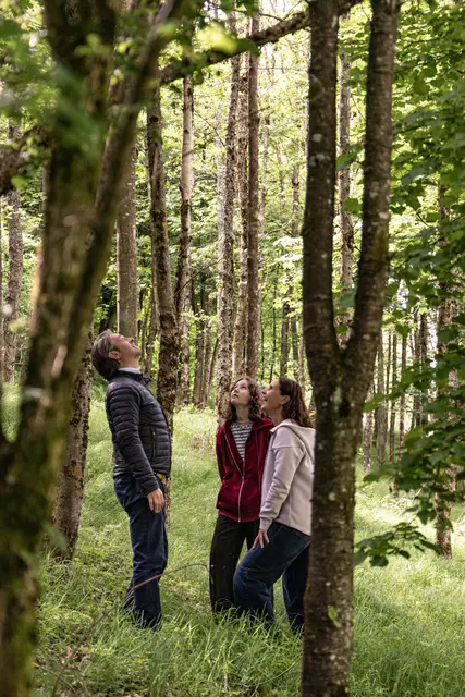 Foto: Linda Zechmeister