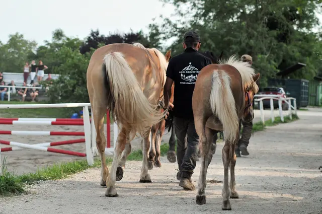 Foto: mamaraZZa photo