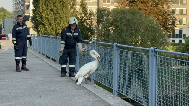 Foto: DOKU-NÖ