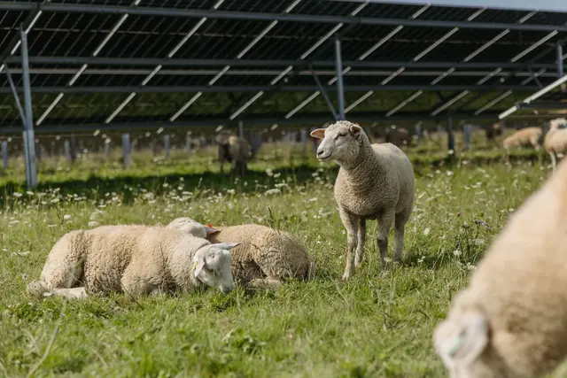 Foto: ÖBB/MecGreenie