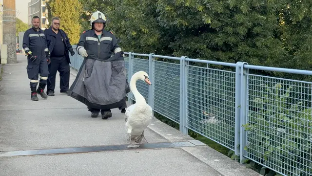 Foto: DOKU-NÖ