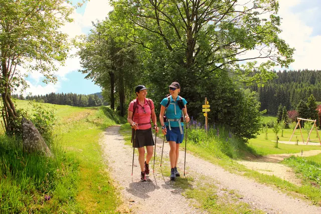 Foto: Monika Thauerböck