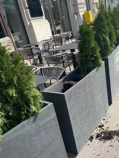 Foto: Oha Fusion Cuisine