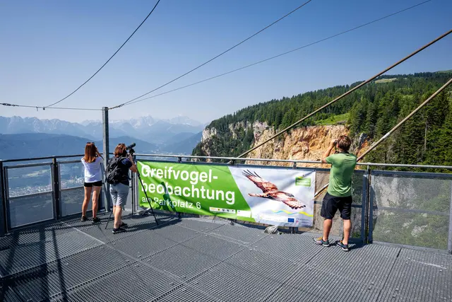 Noch bis 31. August die Greifvogelwochen entdecken | Foto: Stabentheiner