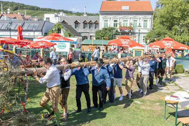 Der Hiatabaum wird jedes Jahr bei einem anderen Betrieb aufgestellt. | Foto: René Brunhölzl/MeinBezirk