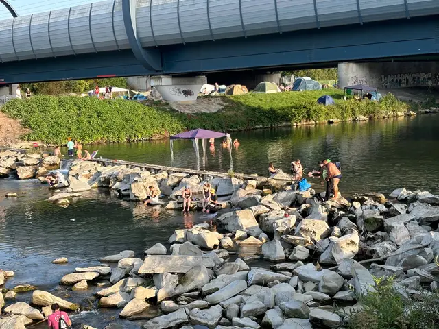 Wie jedes Jahr bietet die Traisen die perfekte Abkühlung. | Foto: Caroline Fegerl