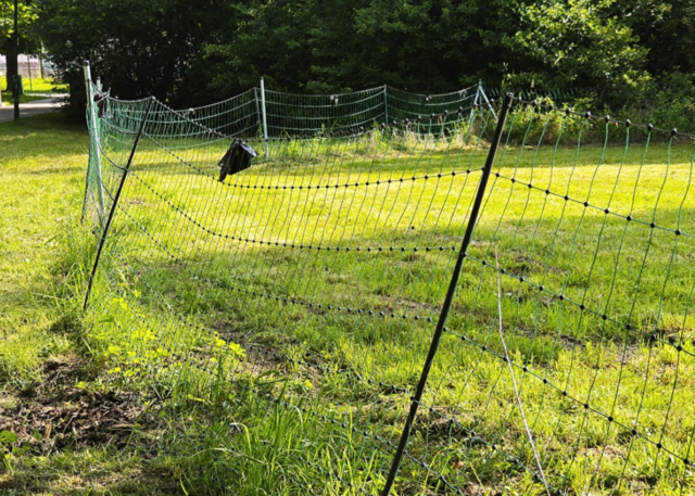 Die – laut einigen Hundebesitzern – unzureichende Umzäunung der Hundefreilaufzone in Kaltenbach ist aktuell wieder Thema in Bad Ischl. | Foto: Tatjána Lénárt-Seidnitzer