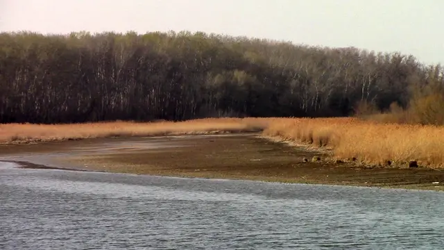 Kühwörther Wasser, Untere Lobau