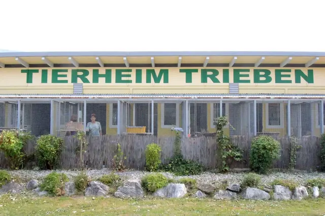 In den letzten Jahren gab es einige Verbesserungen. | Foto: Tierheim Trieben