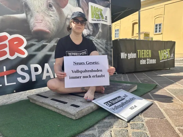 Die Aktvistin des VGT verbringt 24 Stunden auf 0,65 Quadratmetern, was dem Platz eines 85 Kilogramm schweren Schweines im Stall gleich kommt.  | Foto: Stefan Schneider