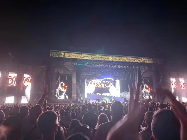 Festivalgäste genießen die Musik und die sommerliche Stimmung am zweiten Tag des Frequency. | Foto: Julia Gleiss