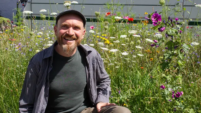 Markus Barth in der Blühfläche, die von der Bienenfreundlichen Gemeinde Neumarkt und den örtlichen Ministranten geschaffen wurde. | Foto: MeinBezirk/Justin Pröll