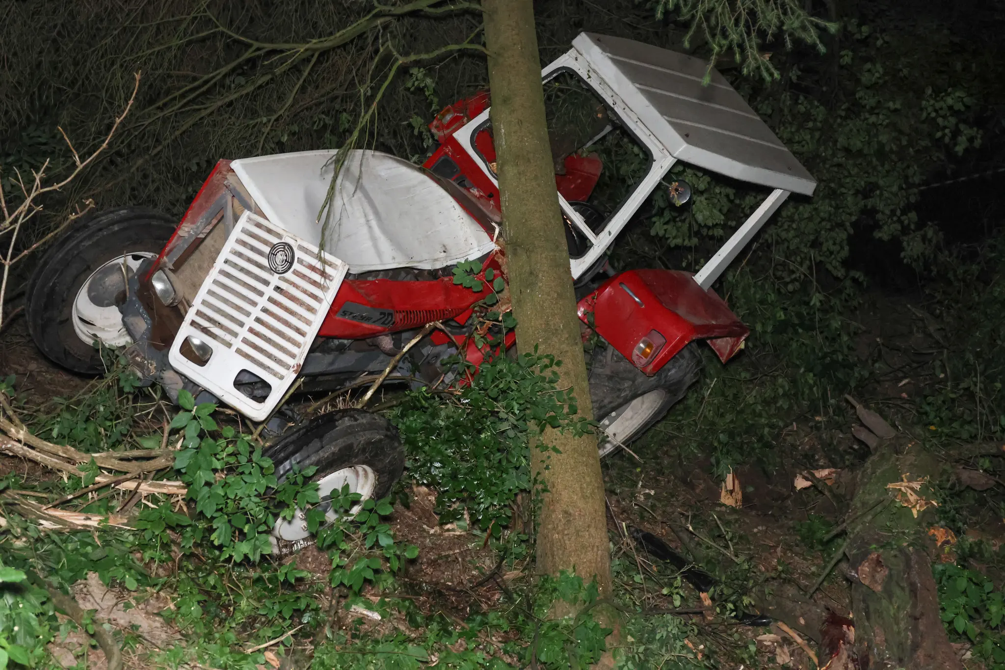 News from Upper Austria: Tractor crashes - Wolf may have killed eleven ...