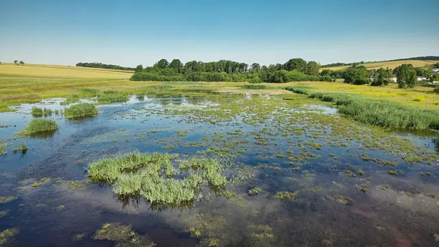 Die EVN Naturkraft setzt sich für die Artenvielfalt in NÖ ein. | Foto: EVN / Daniela Matejschek