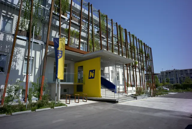 Das Metallgestänge, auf dem das Fassdengrün wächst erscheint sehr rostig.