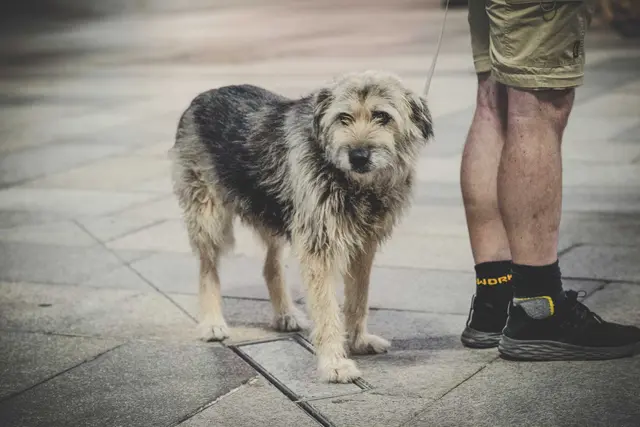 Foto: Klaus Pressberger