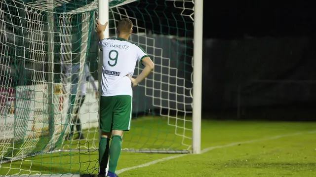 Zurück in Ehrenhausen: Torjäger Fabio Schantl | Foto: Löscher