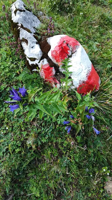 Jetzt geht's den Hang bergauf ... | Foto: I.Wozonig