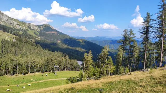 Zwischen den Bäumen zeigt sich der Speicherteich... | Foto: I.Wozonig 