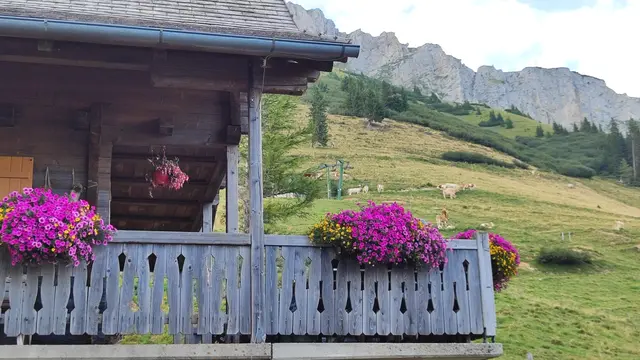 Da muss man sich ja einfach freuen... | Foto: I.Wozonig 