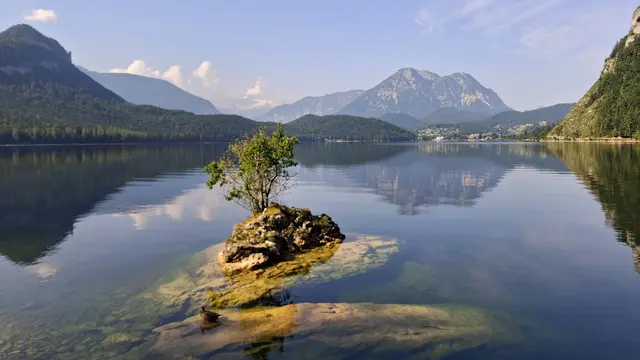 Einfach SCHÖN.
Wer genau schaut sieht die kleine Ente bei der "Morgentoilette".