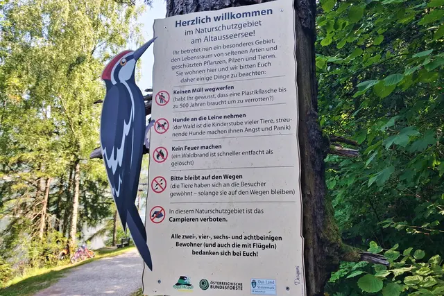 Einige "Specht-Regeln" die man beachten sollte.🤭