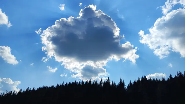Hier lassen sich die hochsommerlichen Temperaturen leicht aushalten... | Foto: I.Wozonig 