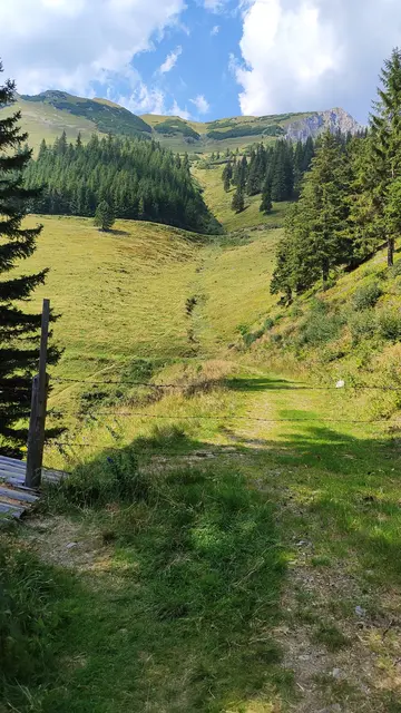 Immer das herrliche Bergmassiv der Hohen Veitsch im Blick... | Foto: I.Wozonig 