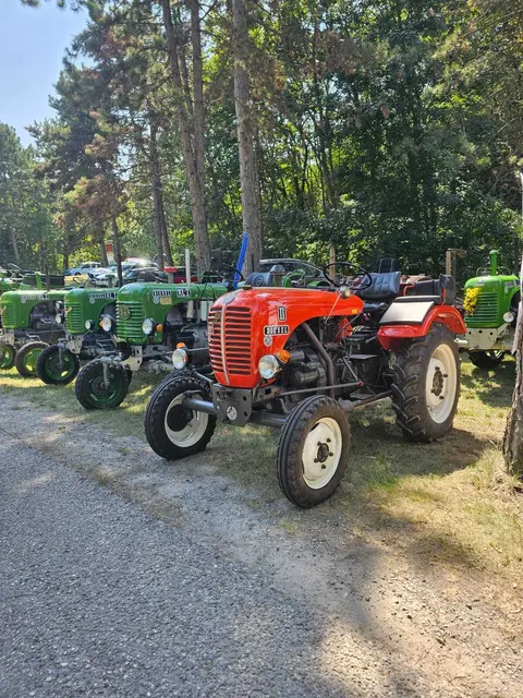 Oldtimer Traktoren, landwirtschaftliche Besonderheiten | Foto: Daniela Mörk 