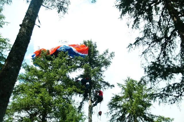 Bergrettung Tirol rettet Paragleiterin, die nach Absturz in einer Baumkrone am Scheibe-Golzentipp in Obertilliach hängenblieb. (Symbolbild) | Foto: Florian Haun