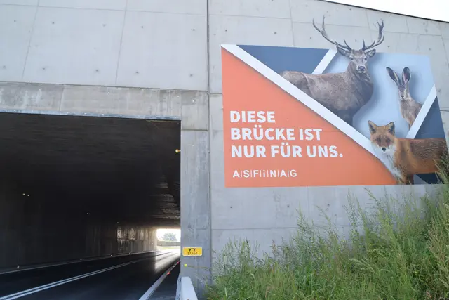 Eine der zwei Wildbrücken im Ostteil der S7. | Foto: Martin Wurglits