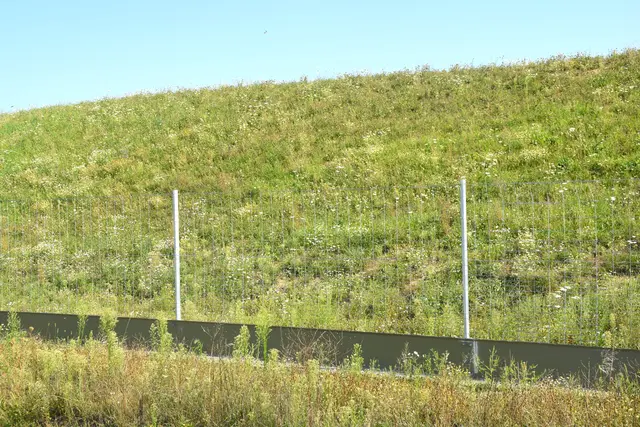 Foto: Martin Wurglits