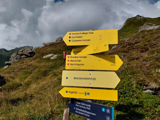 Viele Wanderwege  | Foto: H.Bachinger