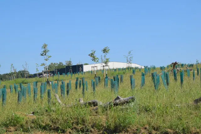 Foto: Martin Wurglits