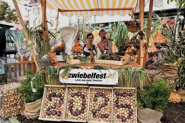 Tausende Besucher stürmen das Laaer Zwiebelfest an 3 Tagen. | Foto: Reitner/MeinBezirk