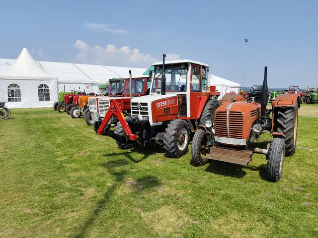 Foto: Eva Lacher-Dörfler