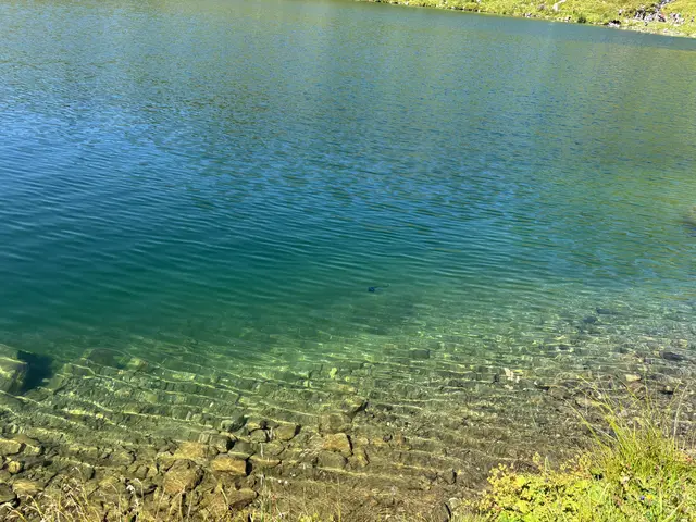 Foto: meinbezirk.at/lungau