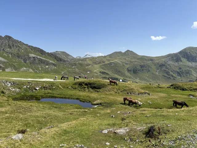 Man bewegt sich im hochalpinen Gelände | Foto: meinbezirk.at/lungau