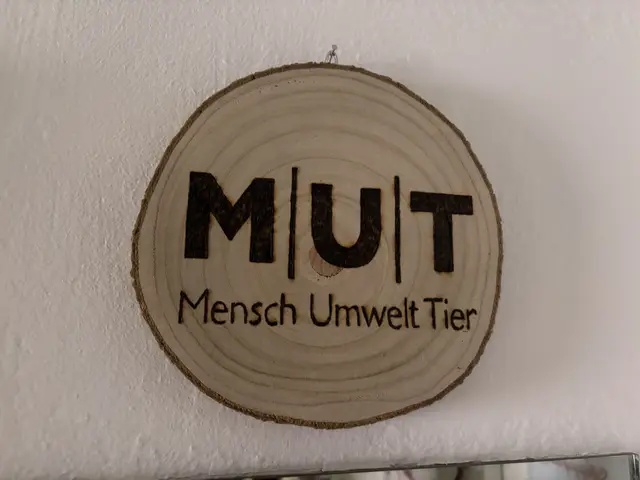 Der Verein "MUT" ist wirtschaftlich und politisch unabhängig und finanziert sich hauptsächlich aus Spendengeldern und Mitgliedsbeiträgen von über 33.000 Menschen. | Foto: Schrofner