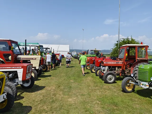 Fahrzeuge, soweit das Auge reichte, ließen die Herzen so manch Begeisterter höher schlagen.  | Foto: Eva Lacher-Dörfler