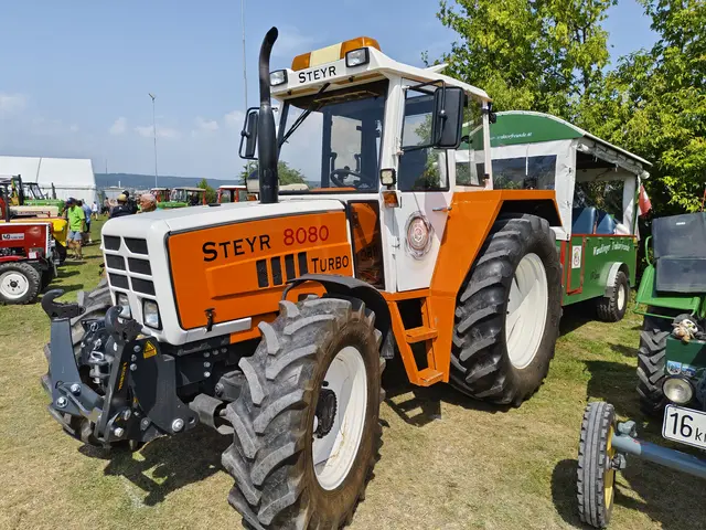 Foto: Eva Lacher-Dörfler