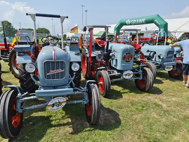 Foto: Eva Lacher-Dörfler