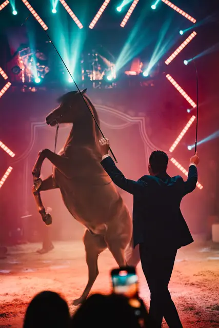 Louis Knie persönlich übernimmt die Pferdedressur. | Foto: Jolanda Hofman