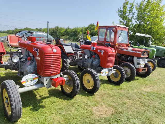 Foto: Eva Lacher-Dörfler