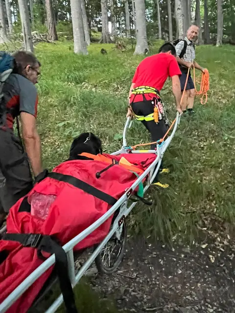 Einsatzmarathon für Rettungskräfte auf Rax und Schneeberg. | Foto: Bergrettung Reichenau/Rax